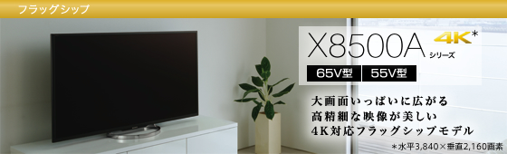 4K対応！55型大画面テレビ！ソニーBRAVIA 状態○+fauthmoveis.com.br