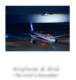 Airplane & Bird ` The wind is favorable `