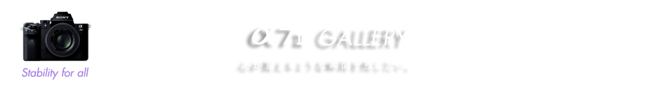 7 II GALLERY