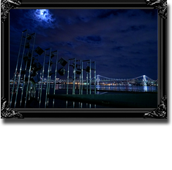 NIGHT VIEW `ssi`
