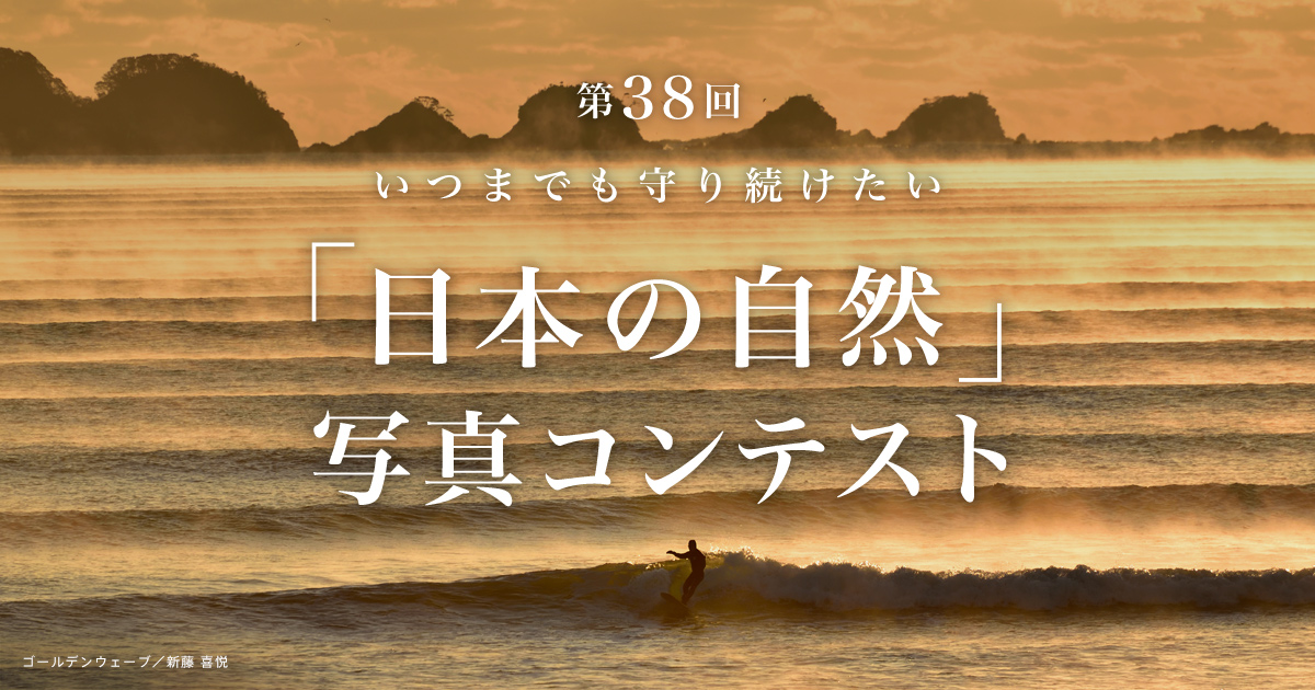 第38回 いつまでも守り続けたい 日本の自然 写真コンテスト 4k ソニー