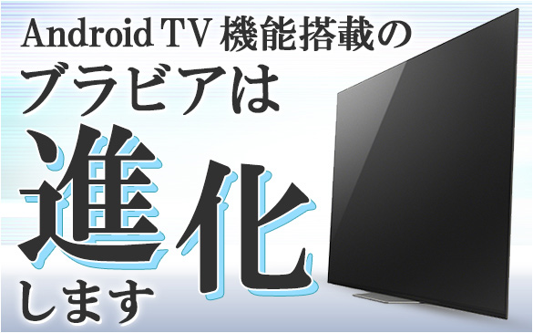 テレビ ブラビア ソニー