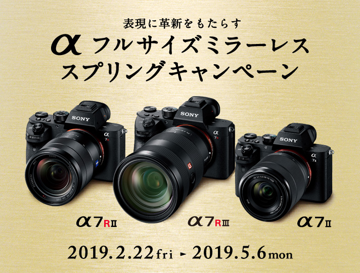 【美品】 SONY α7RⅡ フルサイズ ミラーレス一眼 カメラ