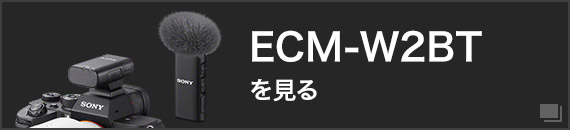 ECM-W2BT