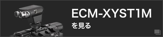 ECM-XYST1M