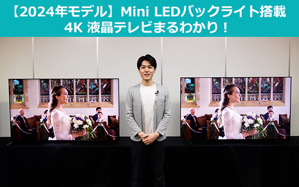 【2024年モデル】Mini LEDバックライト搭載 4K液晶テレビまるわかり！
