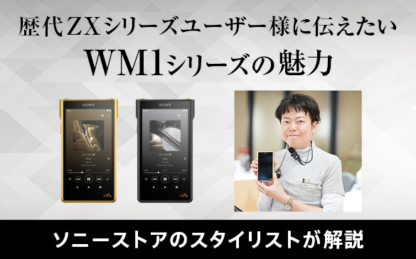 SONY ソニー ウォークマン Aシリーズ 64GB 2017年モデル グ