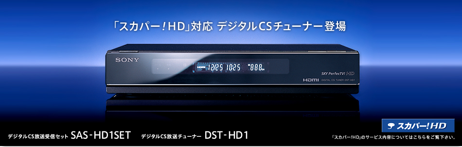 スカパー対応デジタルCSチューナー＜SONY＞ DST-HD1【極美品】