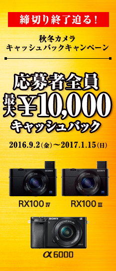 キャッシュバック応募可☆SONY Cyber-shot DSC-RX100M3 販売注文