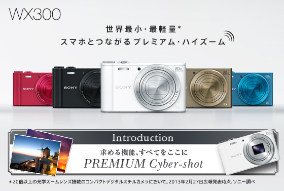 【オススメ】ソニー Cyber-shot DSC-WX300(T) ブラウン