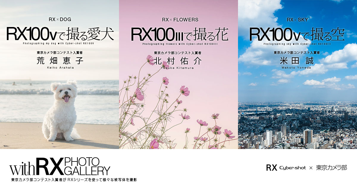 Sony With Rx Photo Gallery デジタルスチルカメラ Cyber Shot サイバーショット ソニー