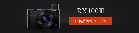 RX100V iy[Ww