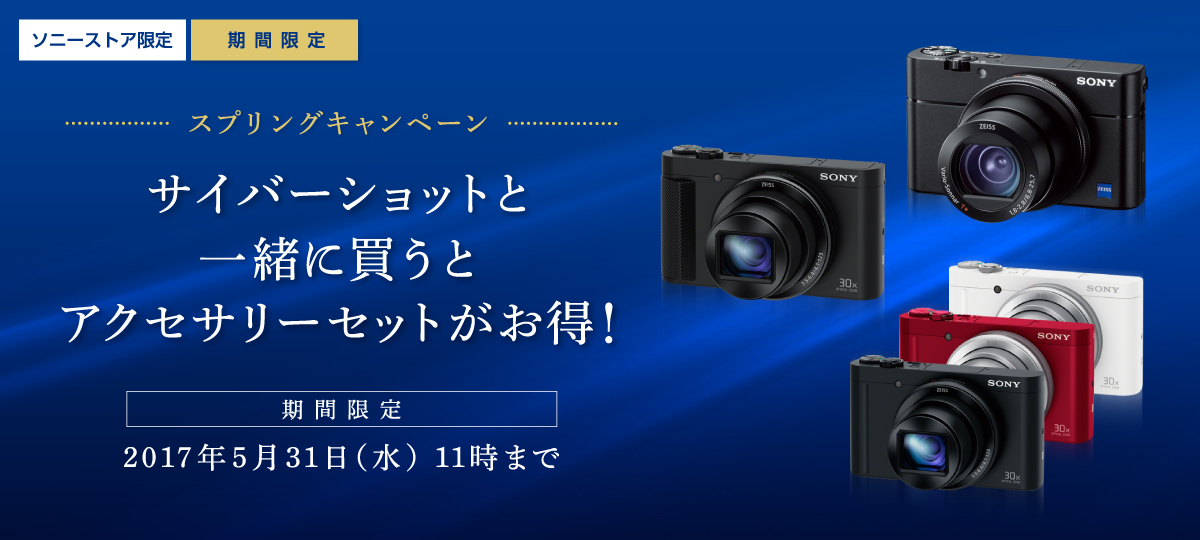 SONY DSC-RX100M5 Cyber-shot本体＋アクセサリ
