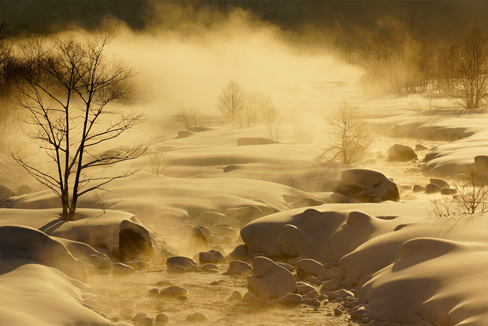 ホワイトバランス:日陰