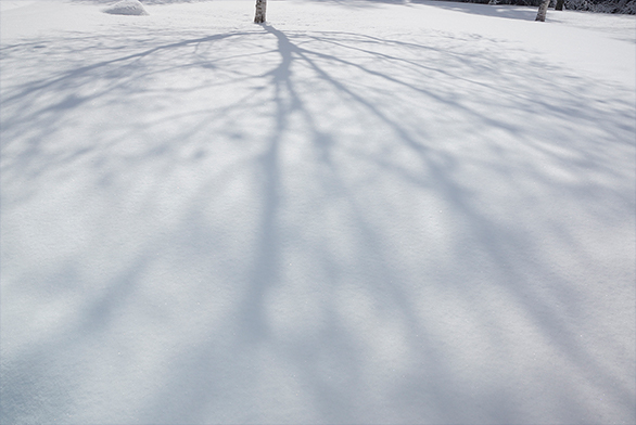 雪原に長く伸びた影を印象的に(Aマウント DT 16-50mm F2.8 SSM)