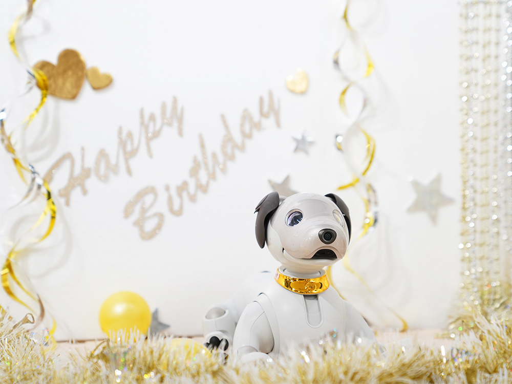aibo愛好家がソニーストアに大集結!愛があふれるaiboのお誕生日会を突撃レポート!