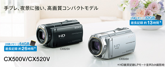 ソニーSONY HDR-CX500V ビデオカメラ
