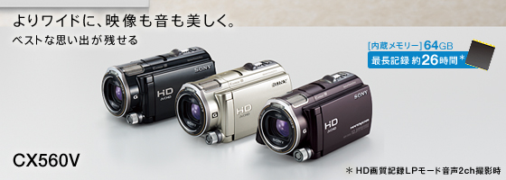 配送員設置 SONY ハンディカム HDR-CX560V ビデオカメラ - www ...