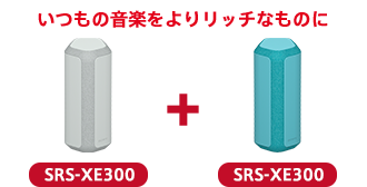 ̉y胊b`Ȃ̂ SRS-XE300 + SRS-XE300