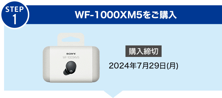 wf-1000xm5（値下げ交渉可⭕️） 思わしくなく