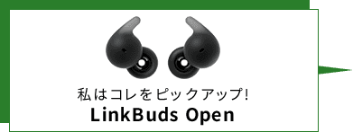 ̓RsbNAbv!LinkBuds Open