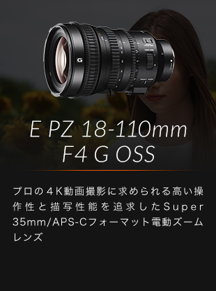 E PZ 18-110mm F4 G OSS v̂SKBeɋ߂鍂쐫ƕ`ʐ\ǋSuper 35mm/APS-CtH[}bgdY[Y