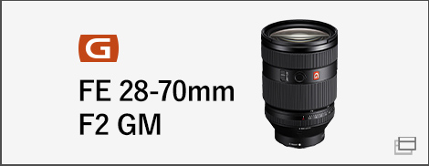 FE 28-70mm F2 GM