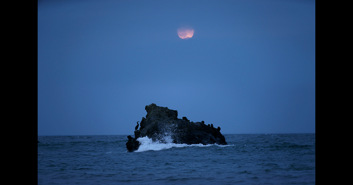 私説 大磯百景 写真家 小澤忠恭氏による連載 16年7月号 A Universe デジタル一眼カメラa アルファ ソニー