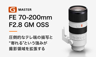 FE 70-200mm F2.8 GM OSS |Iȃe[̕`ʂƁghƂ݂Bëg
