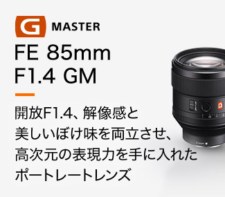 FE 85mm F1.4 GM ̕\͂ɓꂽ|[g[gY