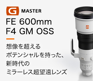 FE 600mm F4 GM OSS z𒴂|eVAṼ~[X]Y