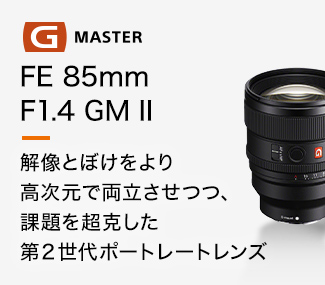 FE 85mm F1.4 GM II 𑜂Ƃڂ荂ŗAۑ𒴍Q|[g[gY