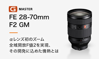 FE 28-70mm F2 GM