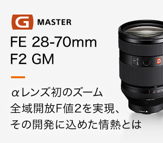 FE 28-70mm F2 GM