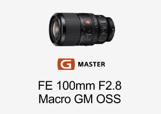 FE 100mm F2.8 Macro GM OSS
