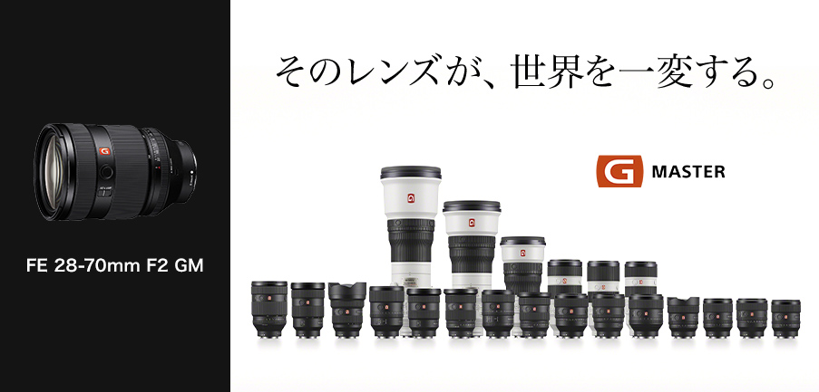 FE 28-70mm F2 GM