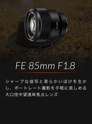 FE 85mm F1.8 V[vȕ`ʂƏ_炩ڂ𐶂A|[g[gBeyɊy߂a]Pœ_Y