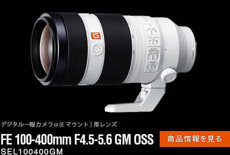 FE 100-400mm F4.5-5.6 GM OSS iy[W