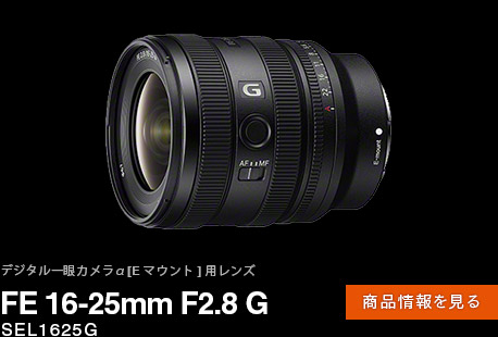 FE 16-25mm F2.8 G iy[W