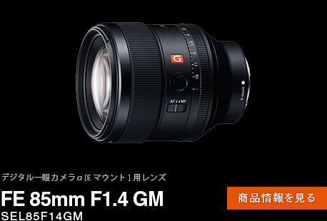 FE 85mm F1.4 GM iy[W