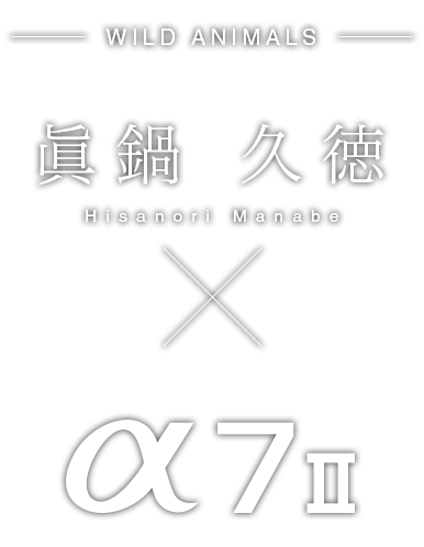 眞鍋久徳×α7 II