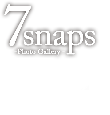 7snasp Photo Gallery