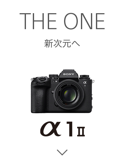 THE ONE V 1 II