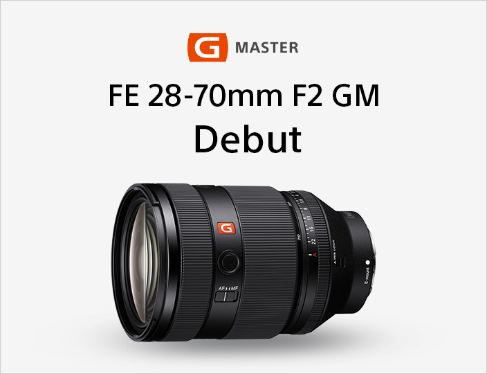 FE 28-70mm F2 GM