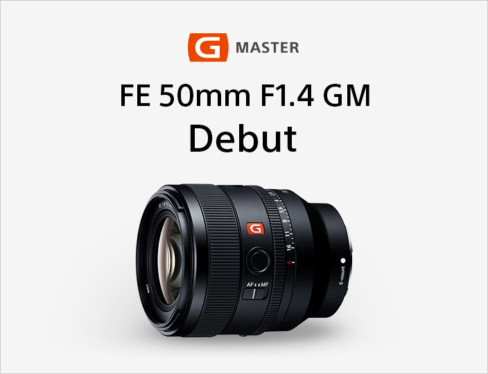 完売 ソニー 望遠単焦点レンズ フルサイズ FE 85mm F1.4 GM G Master デジタル一眼カメラα Eマウント 用 純正 