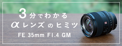 FE 35mm F1.4 GM | デジタル一眼カメラα（アルファ） | ソニー