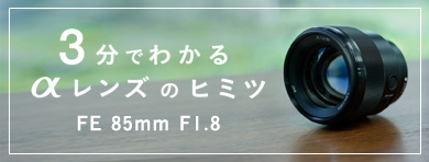 FE 85mm F1.8 | デジタル一眼カメラα（アルファ） | ソニー