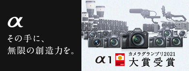 α7S | デジタル一眼カメラα（アルファ） | ソニー