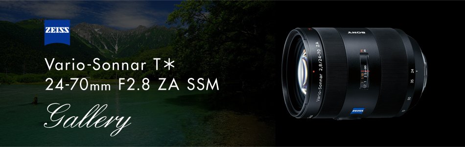 Vario-Sonnar T＊ 24-70mm F2.8 ZA SSM 特長 | デジタル一眼カメラα ...