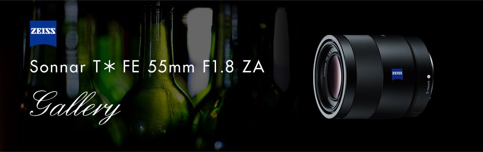 Sonnar T* FE 55mm F1.8 ZA 特長 | デジタル一眼カメラα（アルファ ...